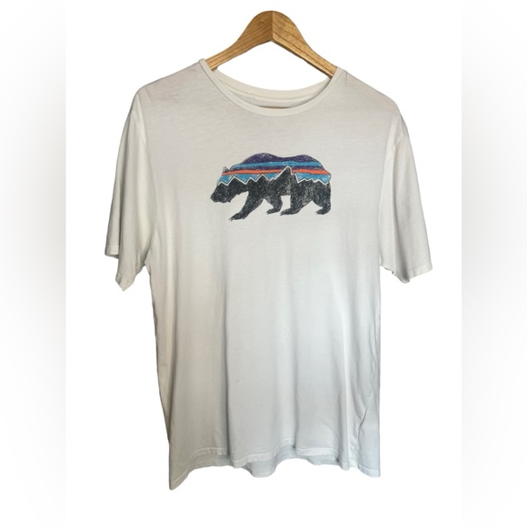 Patagonia Other - Mens Patagonia Organic Cotton Tee